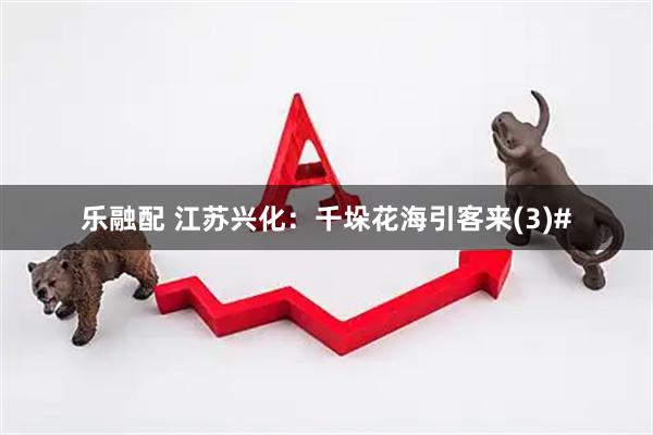 乐融配 江苏兴化：千垛花海引客来(3)#